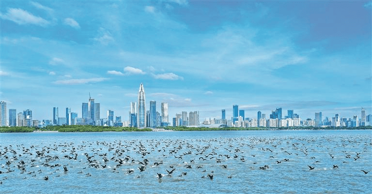 点｜明起深圳天气大反转开元棋牌app深新早(图9)